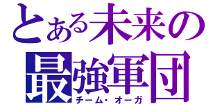 とある未来の最強軍団（チーム・オーガ）