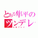 とある隼平のツンデレ（ＳＭプレイ）