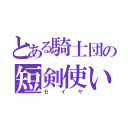 とある騎士団の短剣使い（セイヤ）