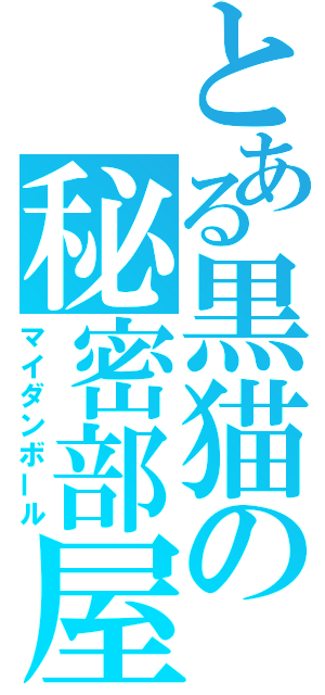 とある黒猫の秘密部屋（マイダンボール）