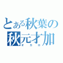 とある秋葉の秋元才加（オカロ）