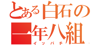 とある白石の一年八組（イッパチ）