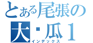 とある尾張の大傻瓜１（インデックス）