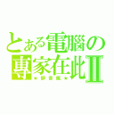 とある電腦の專家在此Ⅱ（★靜音瘋★）