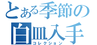 とある季節の白皿入手（コレクション）