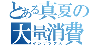 とある真夏の大量消費（インデックス）