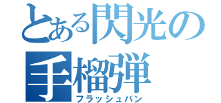 とある閃光の手榴弾（フラッシュバン）