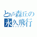 とある森丘の永久飛行（クソレウス）