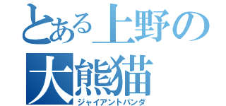 とある上野の大熊猫（ジャイアントパンダ）