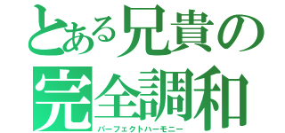 とある兄貴の完全調和（パーフェクトハーモニー）