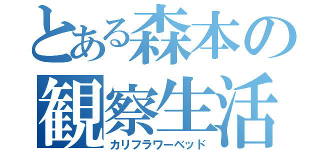 とある森本の観察生活（カリフラワーベッド）