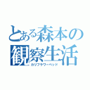 とある森本の観察生活（カリフラワーベッド）