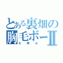 とある裏畑の胸毛ボーボーⅡ（太閤山）