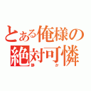 とある俺様の絶対可憐（静か）