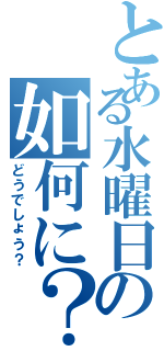 とある水曜日の如何に？（どうでしょう？）