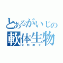 とあるがいじの軟体生物（天野桃子）