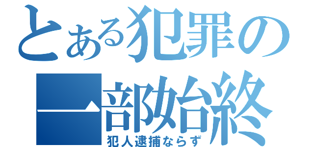 とある犯罪の一部始終（犯人逮捕ならず）