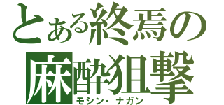 とある終焉の麻酔狙撃銃（モシン・ナガン）