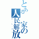 とある國家の人民解放軍（Ｐ．Ｌ．Ａ）