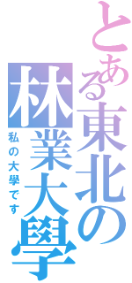 とある東北の林業大學Ⅱ（私の大學です）