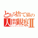 とある捨て猫の人間観察Ⅱ（インデックス）