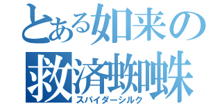 とある如来の救済蜘蛛糸（スパイダーシルク）