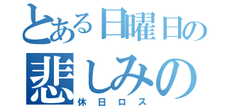 とある日曜日の悲しみの日（休日ロス）