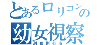 とあるロリコンの幼女視察（刑務所行き）