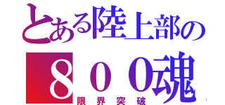 とある陸上部の８００魂（限界突破）