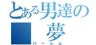 とある男達の  夢（ハーレム）