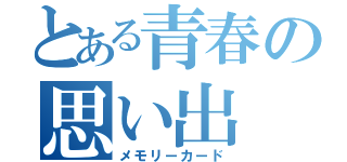 とある青春の思い出（メモリーカード）