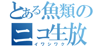 とある魚類のニコ生放送（イワシワク）