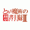 とある魔術の禁書目録Ⅱ（殺手肥肥）