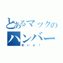 とあるマックのハンバーガー（安いよ！）