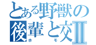 とある野獣の後輩と交尾Ⅱ（ホモ）