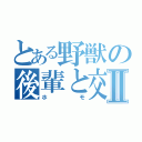 とある野獣の後輩と交尾Ⅱ（ホモ）