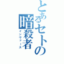 とあるセトの暗殺者（インヴァース）