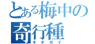 とある梅中の奇行種（キチガイ）