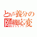 とある養分の臨機応変（ロスカット）