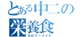 とある中二の栄養食（カロリーメイト）