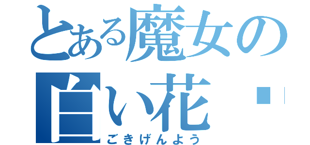 とある魔女の白い花♧（ごきげんよう）