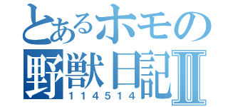 とあるホモの野獣日記Ⅱ（１１４５１４）