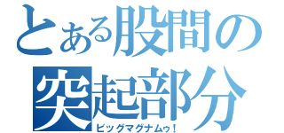 とある股間の突起部分（ビッグマグナムゥ！）