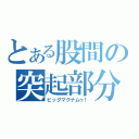 とある股間の突起部分（ビッグマグナムゥ！）