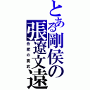 とある剛侯の張遼文遠（合肥の真武）