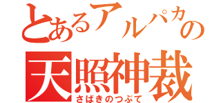 とあるアルパカの天照神裁星群（さばきのつぶて）