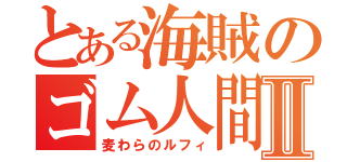 とある海賊のゴム人間Ⅱ（麦わらのルフィ）