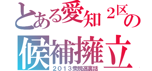 とある愛知２区の候補擁立（２０１３衆院選裏話）