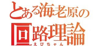 とある海老原の回路理論（えびちゃん）