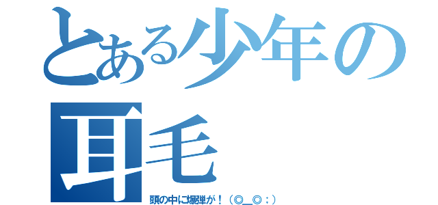 とある少年の耳毛（頭の中に爆弾が！（◎＿◎；））